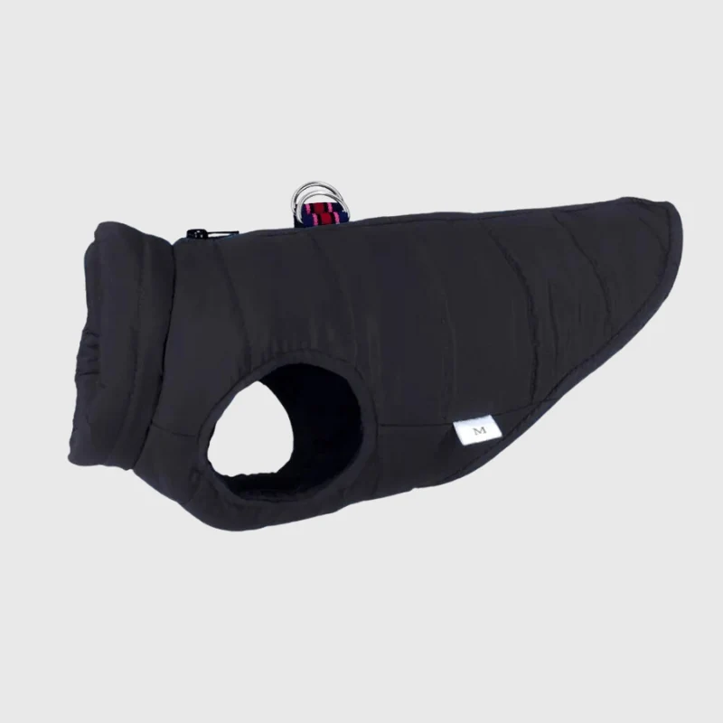 Manteau Imperméable Hiver Gros Chien Noir