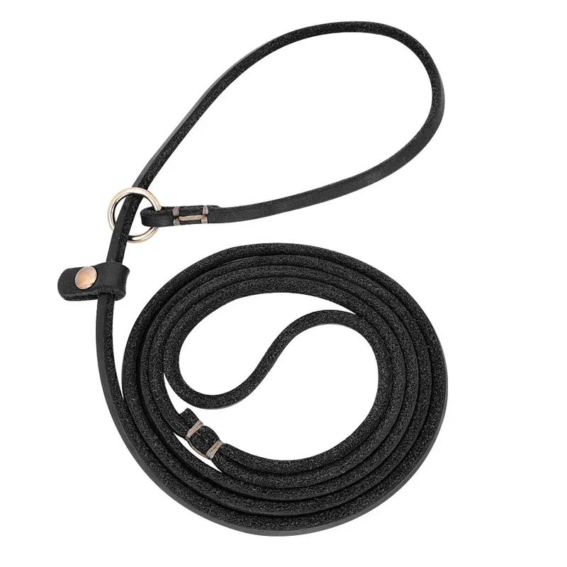 Laisse Lasso Cuir Réglable 2-en-1 Dressage