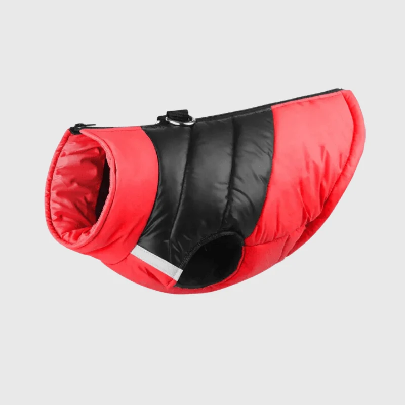 Manteau Imperméable Hiver Gros Chien