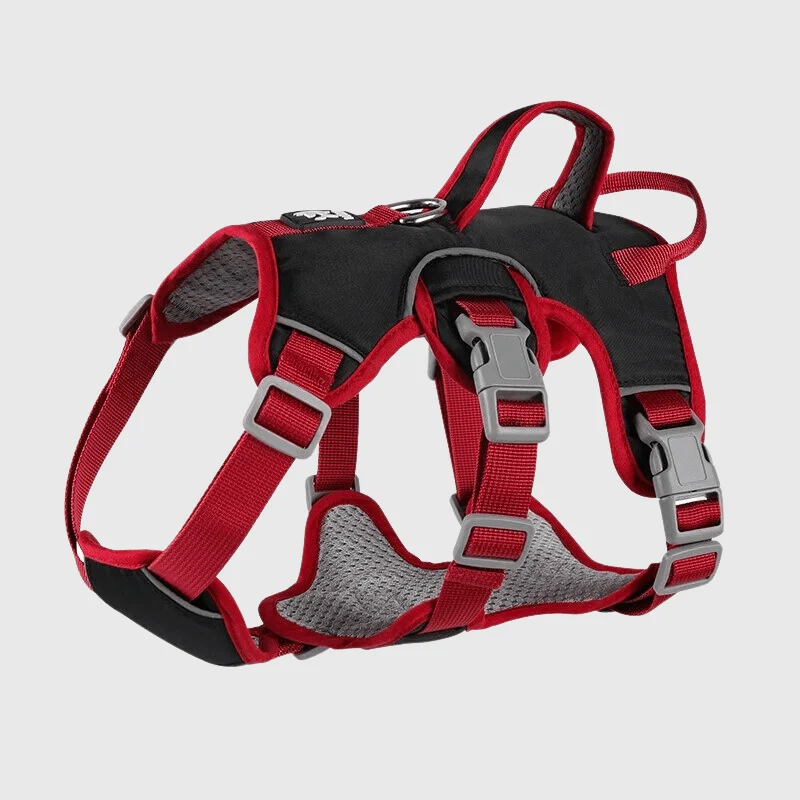 Harnais Triple Sangle Anti-Traction Chien