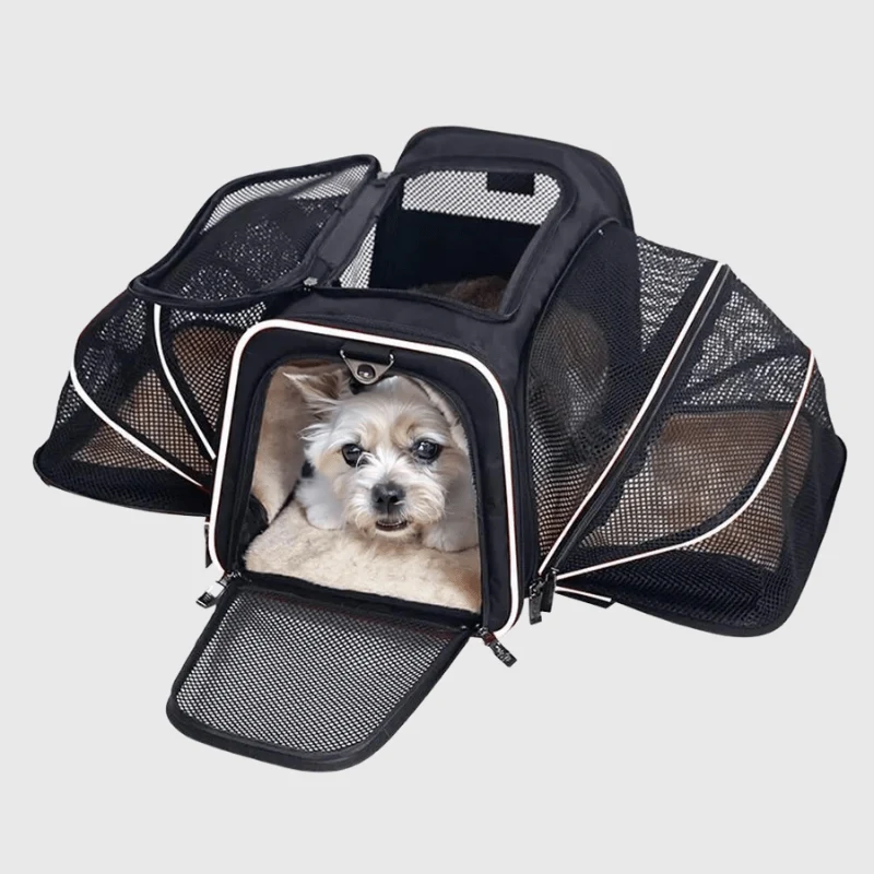 Caisse Transport Chien Pliable Résistante