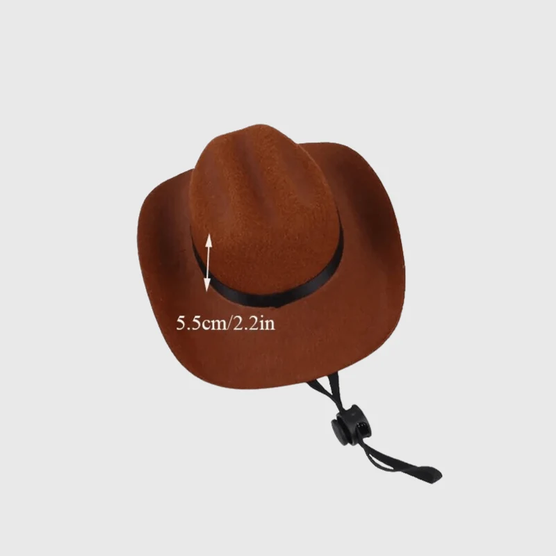 Chapeau Cowboy Marron Chien Western