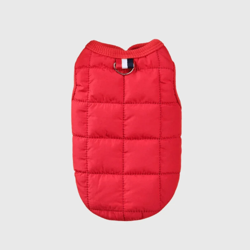 Manteau Laine Rouge Hiver Chien