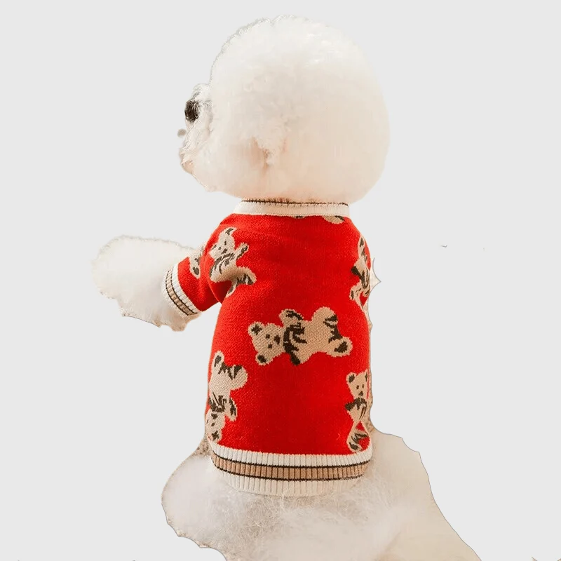 Pull Chien Design Ours Hiver Chaud