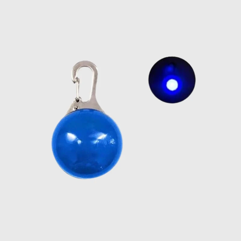Lampe LED Collier Sécurité Nocturne Chien