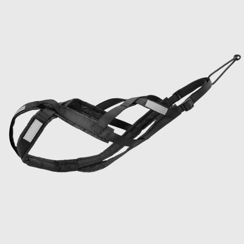 Harnais Canicross Réglable Sport Gros Chien