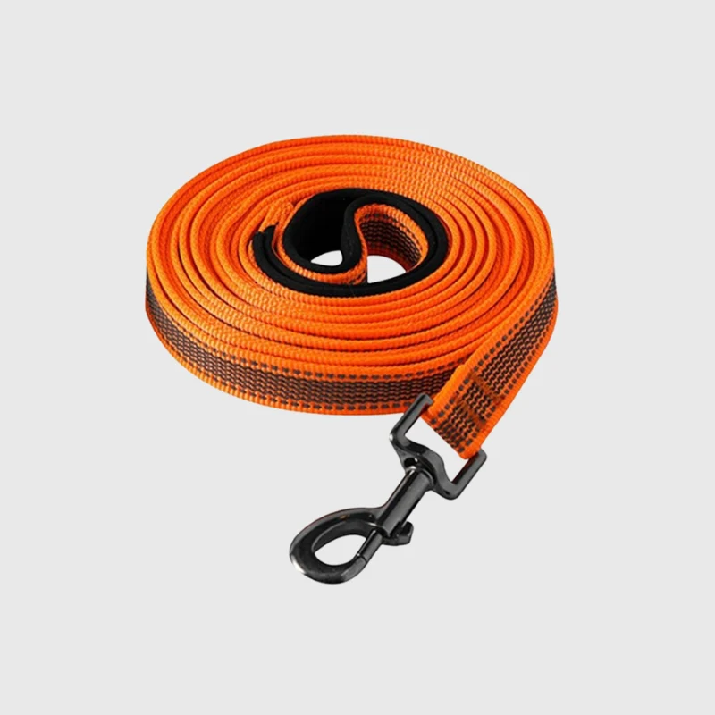 Longe Dressage Nylon Renforcée Gros Chien