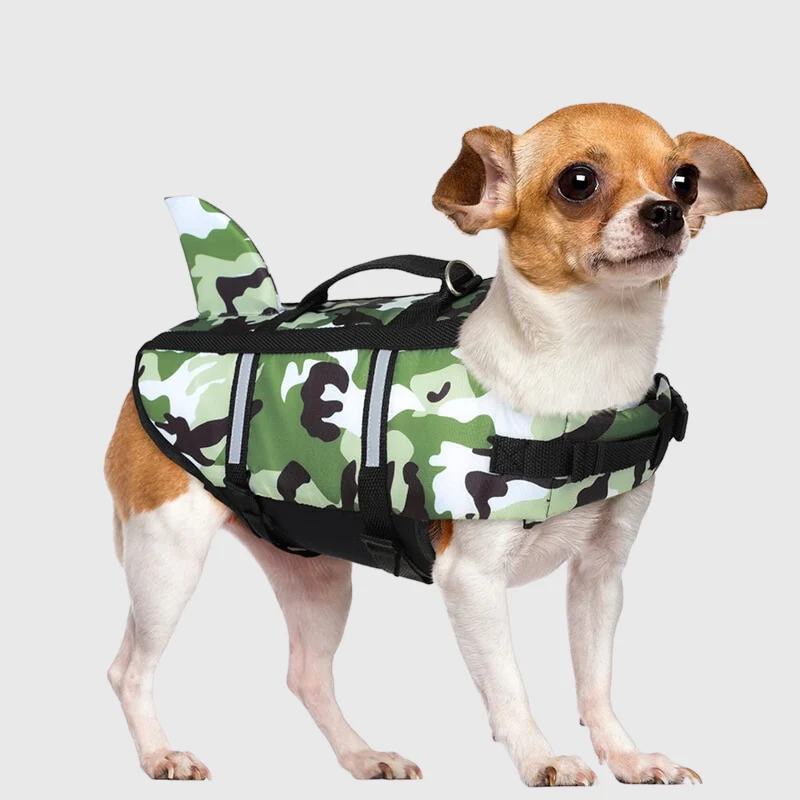 Gilet Nage Requin Flottabilité Gros Chien