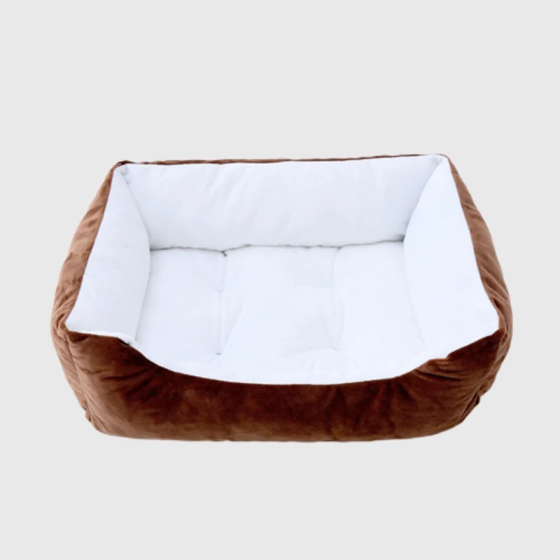 Canapé Lit Orthopédique XXL Gros Chien