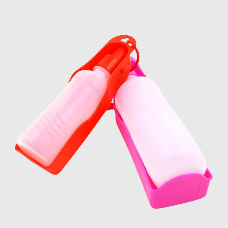 Gourde Portable Promenade Gros Chien 250ml