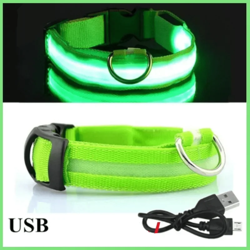 Collier LED Rechargeable USB Gros Chien