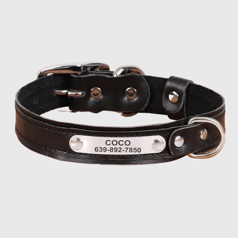 Collier Nylon Personnalisé Petit Chien Gravé