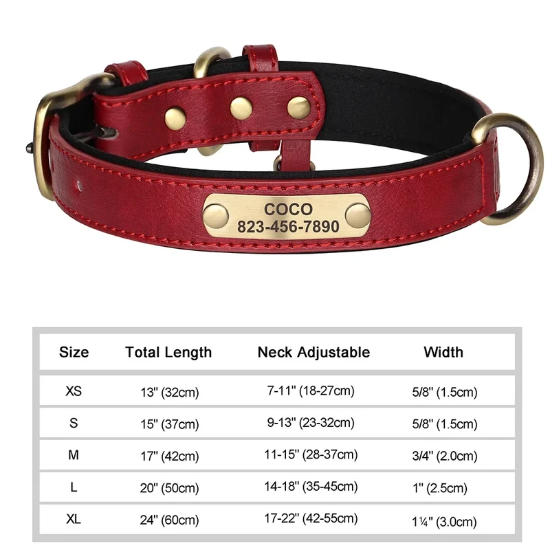 Collier Cuir Personnalisé Gravure Gros Chien