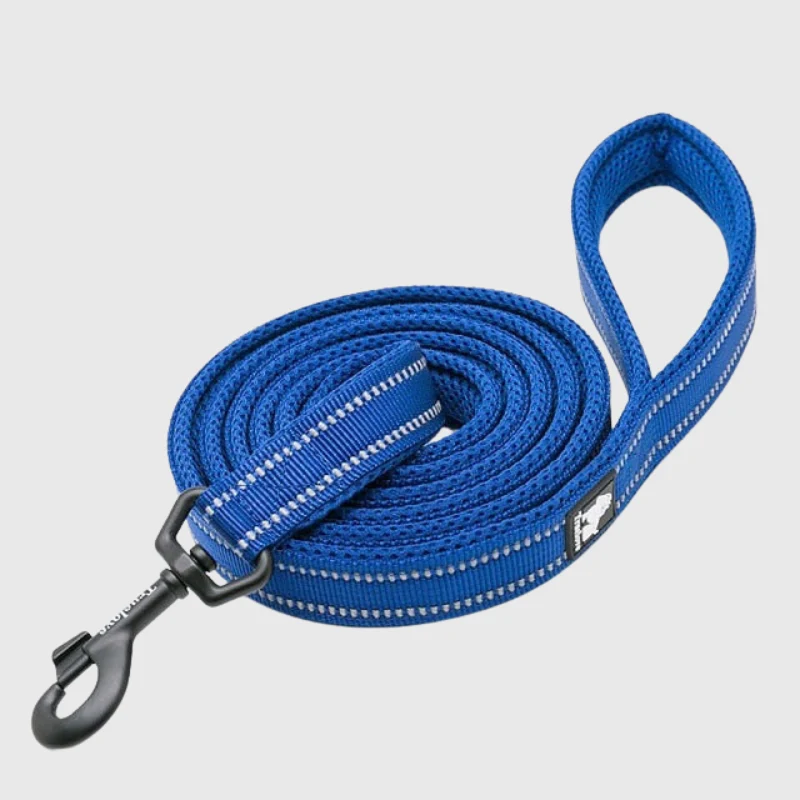 Laisse Éducation Nylon Renforcée Gros Chien