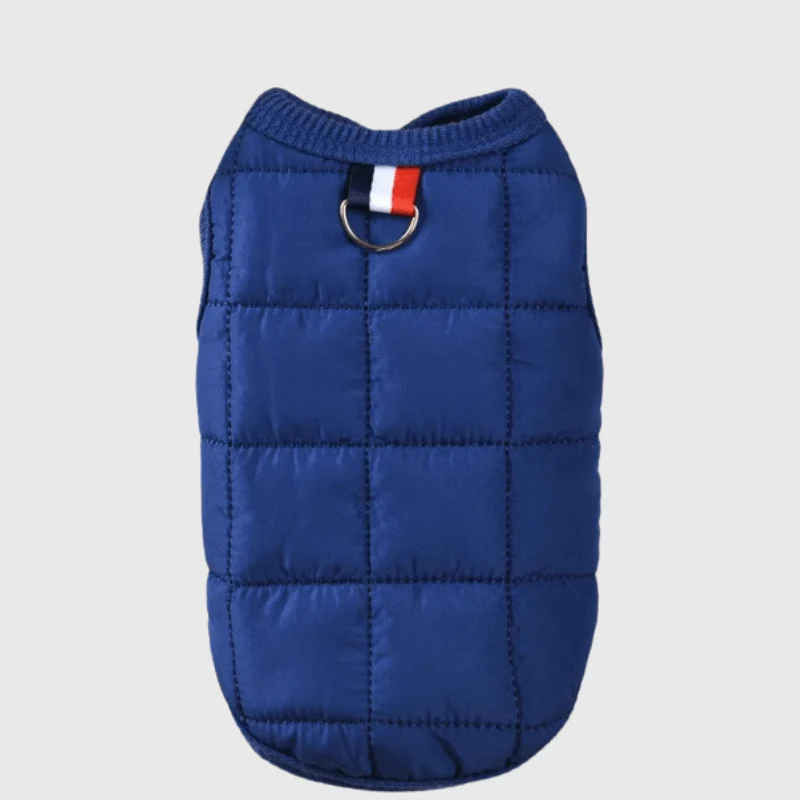 Manteau Laine Bleu Petit Chien Hiver