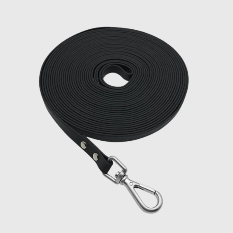 Longe Nylon Renforcée 3m Gros Chien