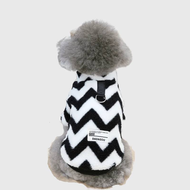 Pull Chaud Petit Chien Hiver Tricot Extensible