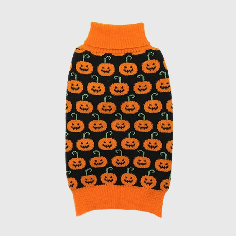 Pull Halloween Citrouilles Chien Orange Festif