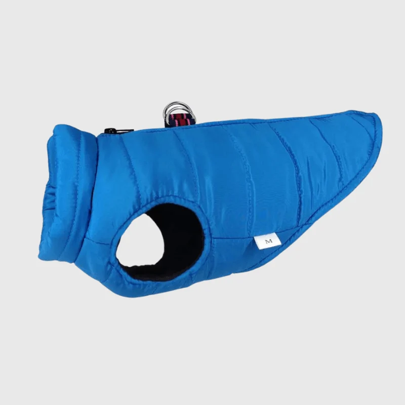 Manteau Imperméable Matelassé Bleu Chien