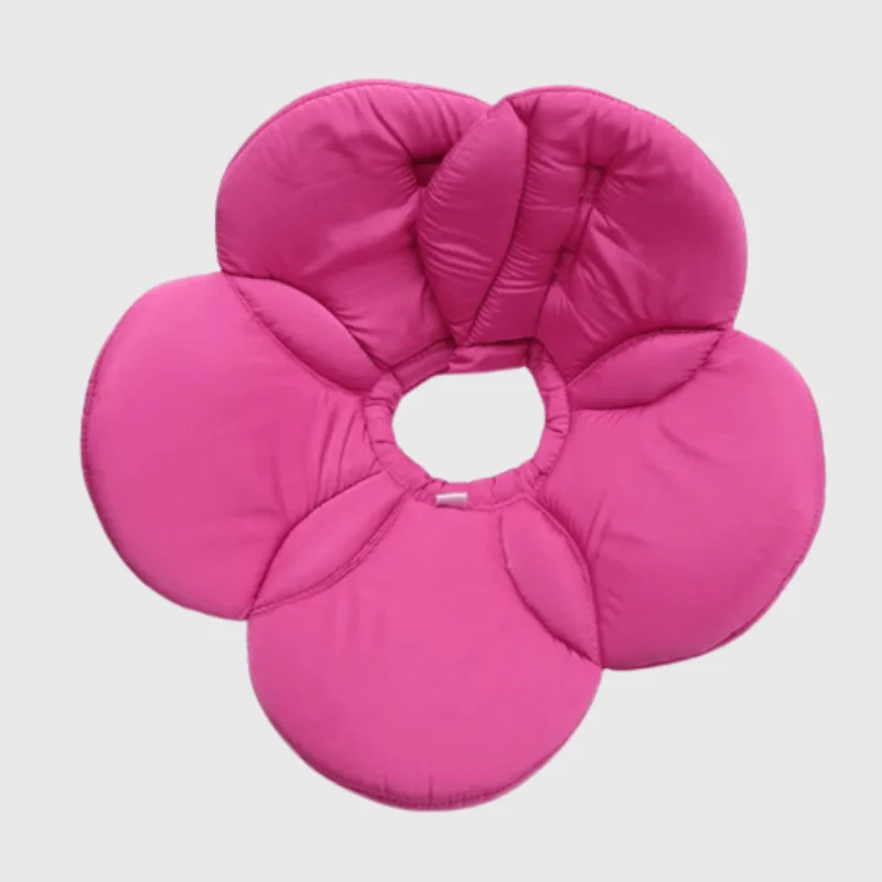 Collerette Fleur Violette Gros Chien