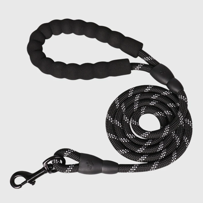 Laisse Éducative Anti-Traction Gros Chien