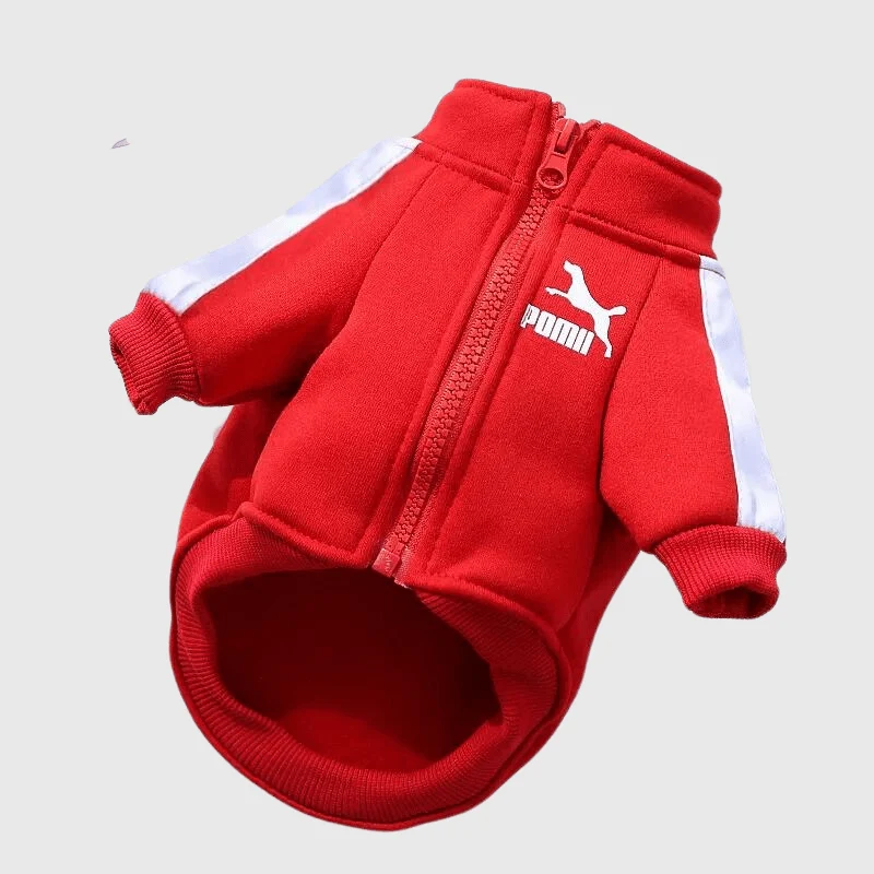 Manteau Imperméable Polaire Chien Capuche Réfléchissant