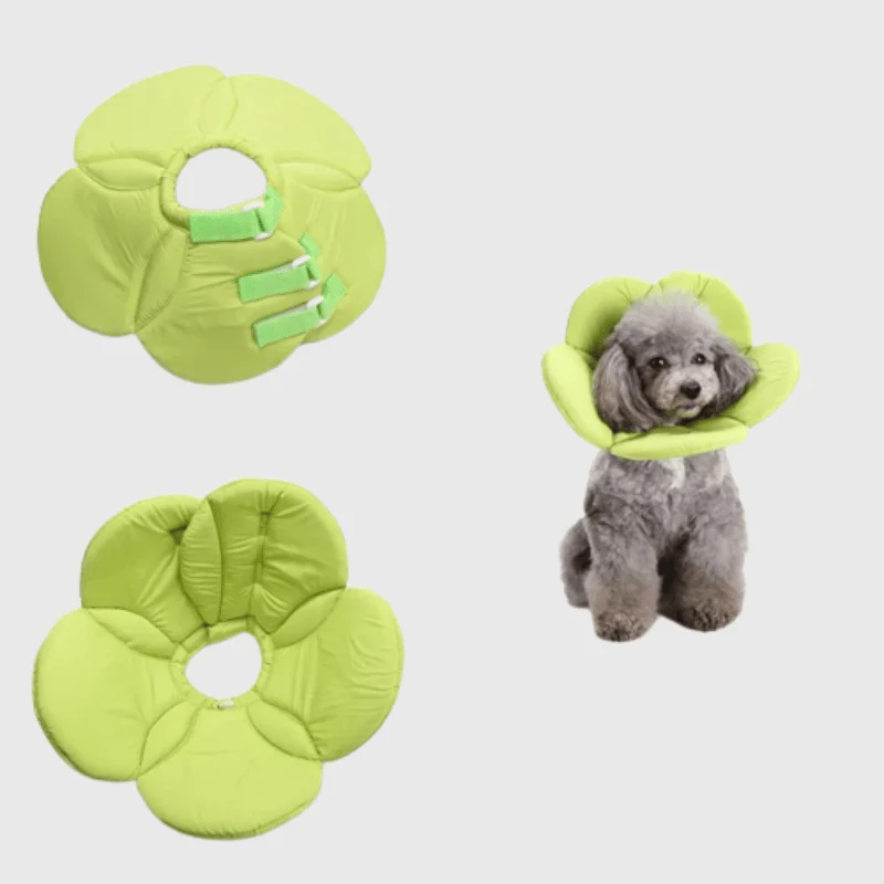 Collerette Souple Fleur Verte Chien Convalescence