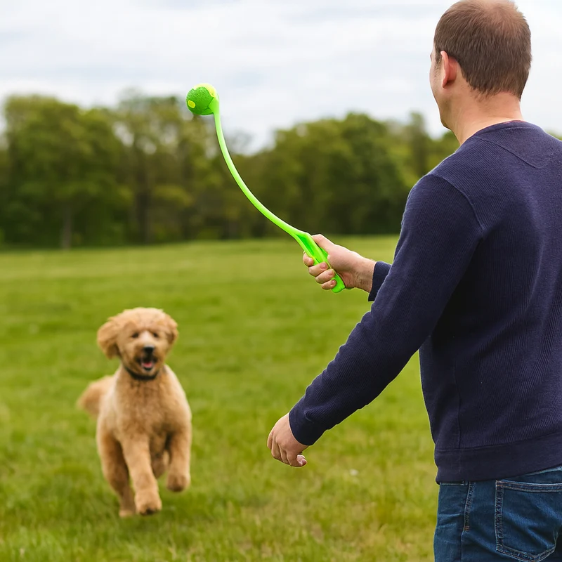 Lanceur Balle Tennis Vert Gros Chien