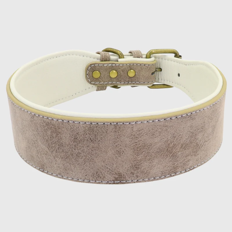 Collier Cuir Pleine Fleur Personnalisable Gros Chien