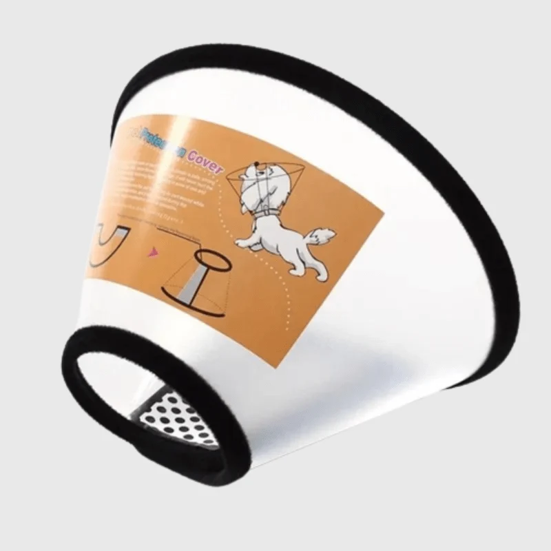 Collerette Lune Plastique Post-Opératoire Gros Chien
