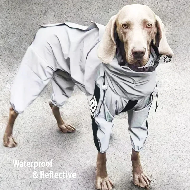 Combinaison réfléchissante pour chien