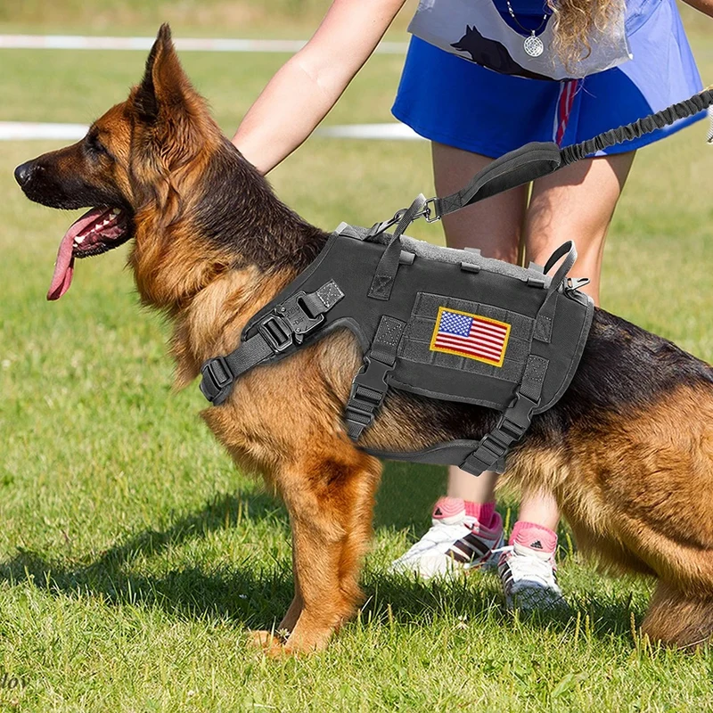 Gilet militaire pour chien