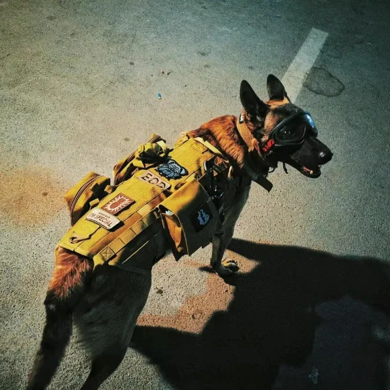 Gilet tactique pour chien