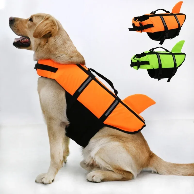 Harnais de nage pour chien