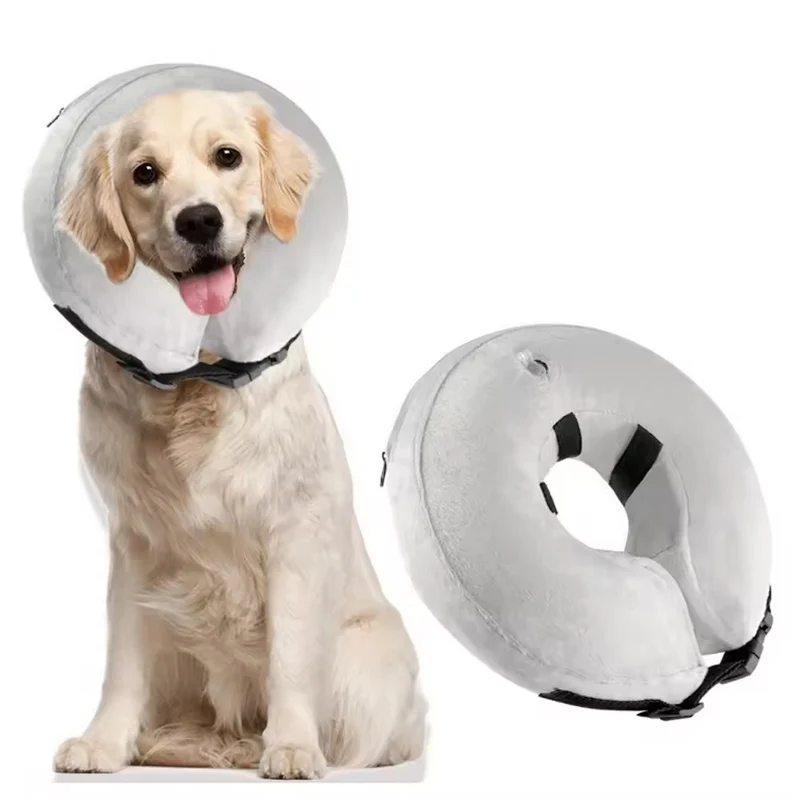 Collier élisabéthain chien gonflable