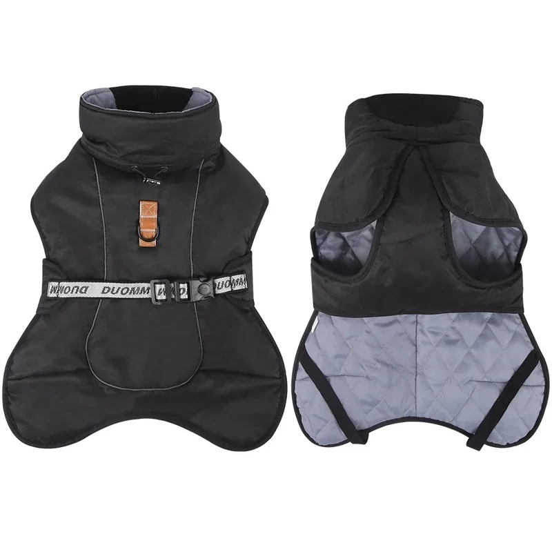 Manteau chien hiver