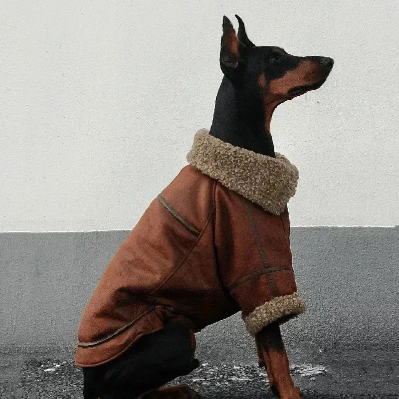 Manteau XXL Veste Hiver Très Gros Chien