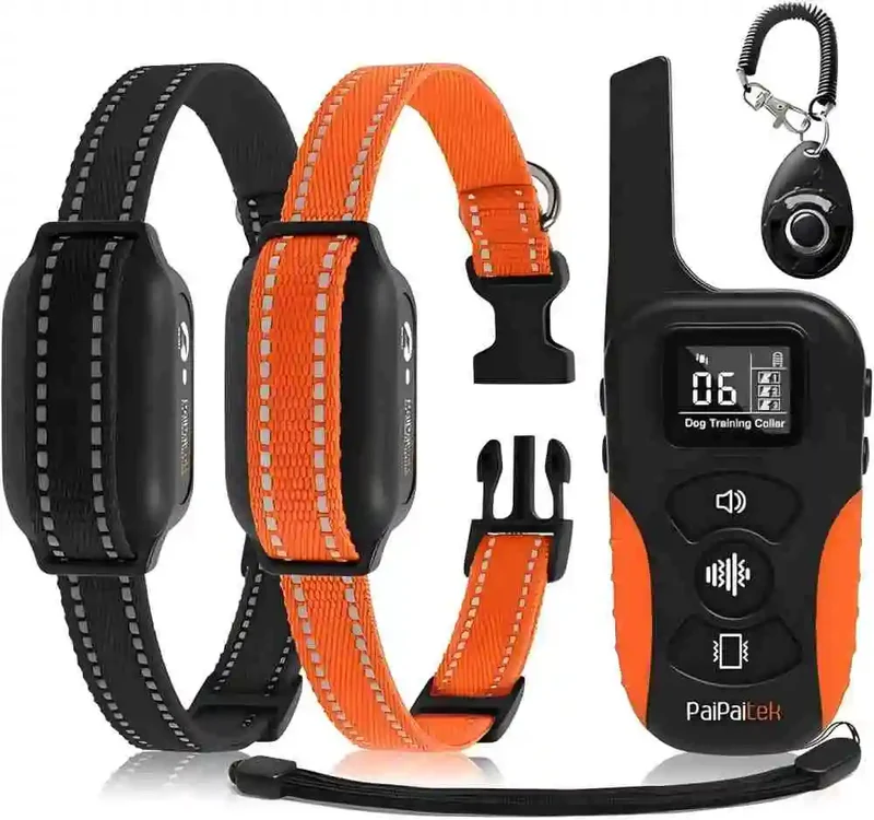 Collier Dressage 3200ft Sans Choc Gros Chien