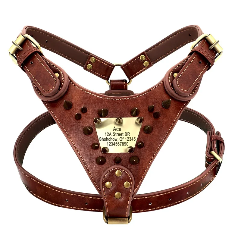 Collier Cuir Clouté Personnalisé Gros Chien Pitbull Mastiff