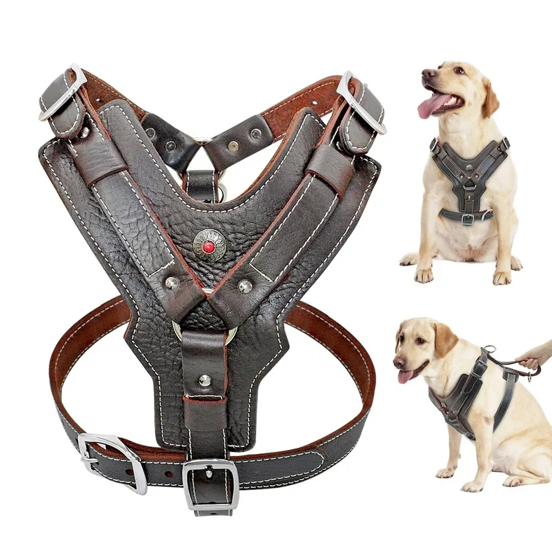 Harnais pour chien en cuir véritable