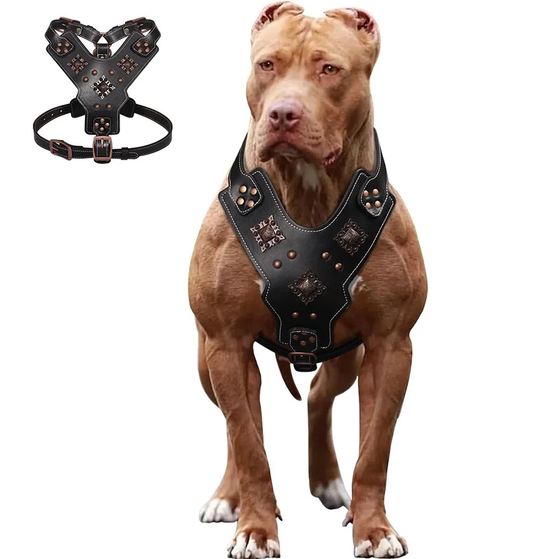 Harnais en cuir véritable pour chien