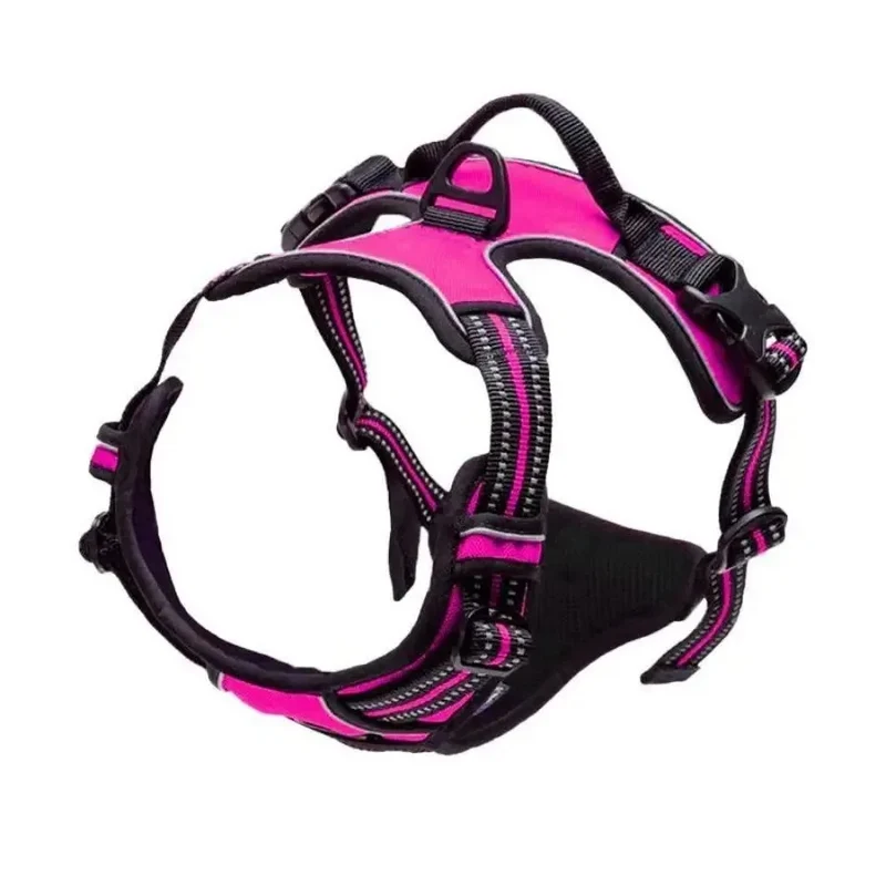 Harnais fuchsia pour chien