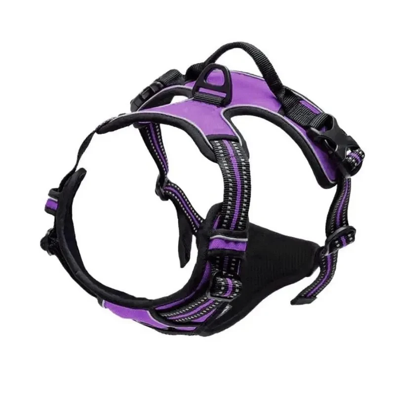 Harnais violet pour chien