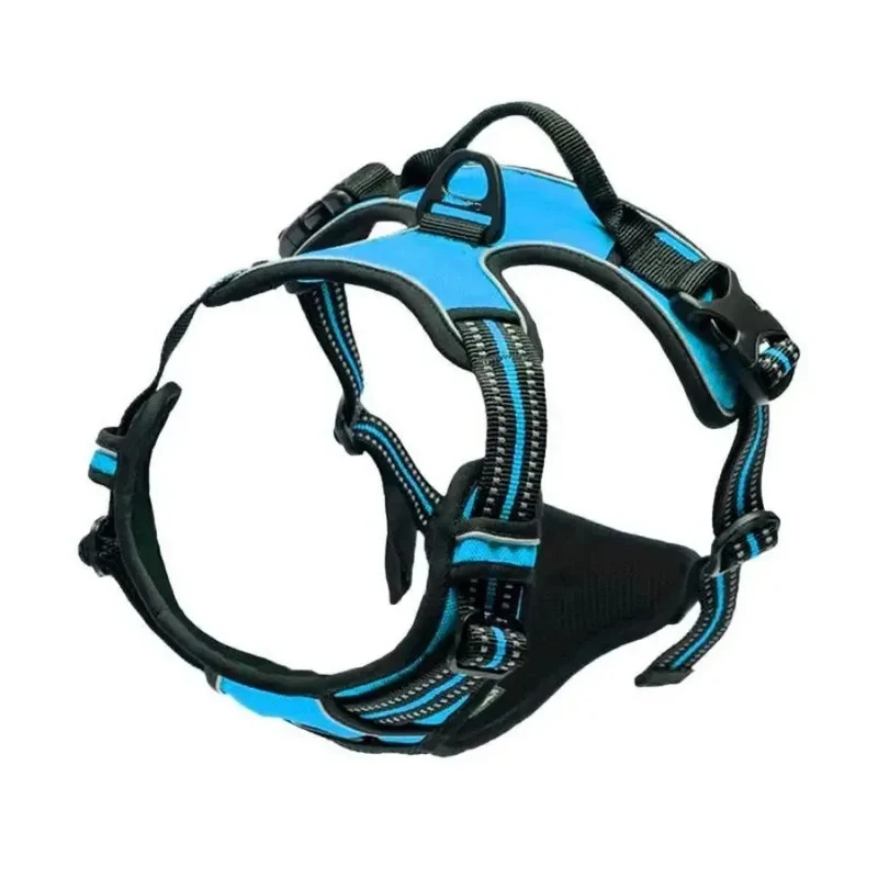 Harnais bleu pour chien