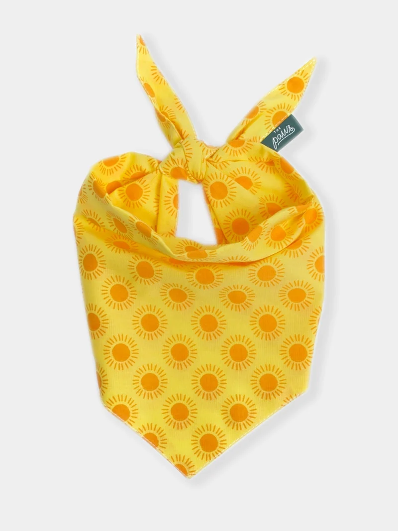 Bandana pour chien - Sol - The Paws