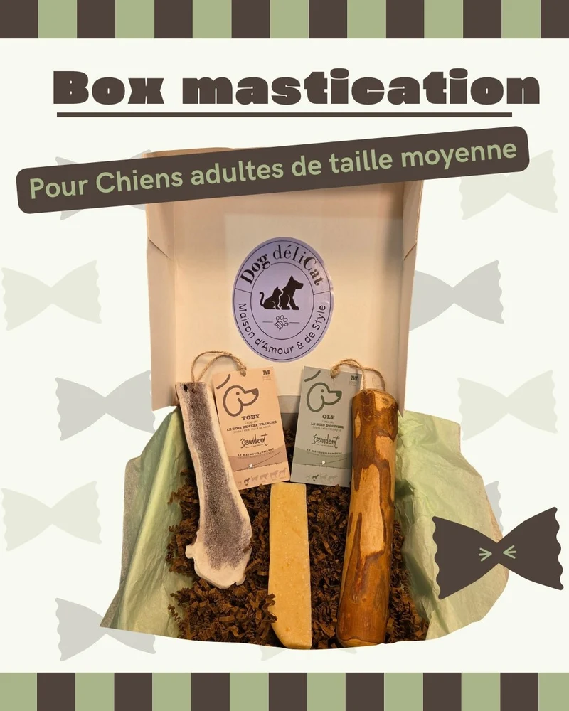 Box mastication naturelle et longue durée – Chiens Moyens