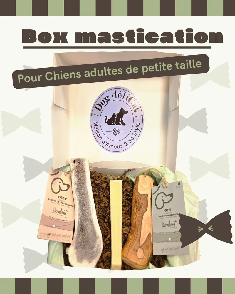 Box mastication naturelle et longue durée – Petits Chiens