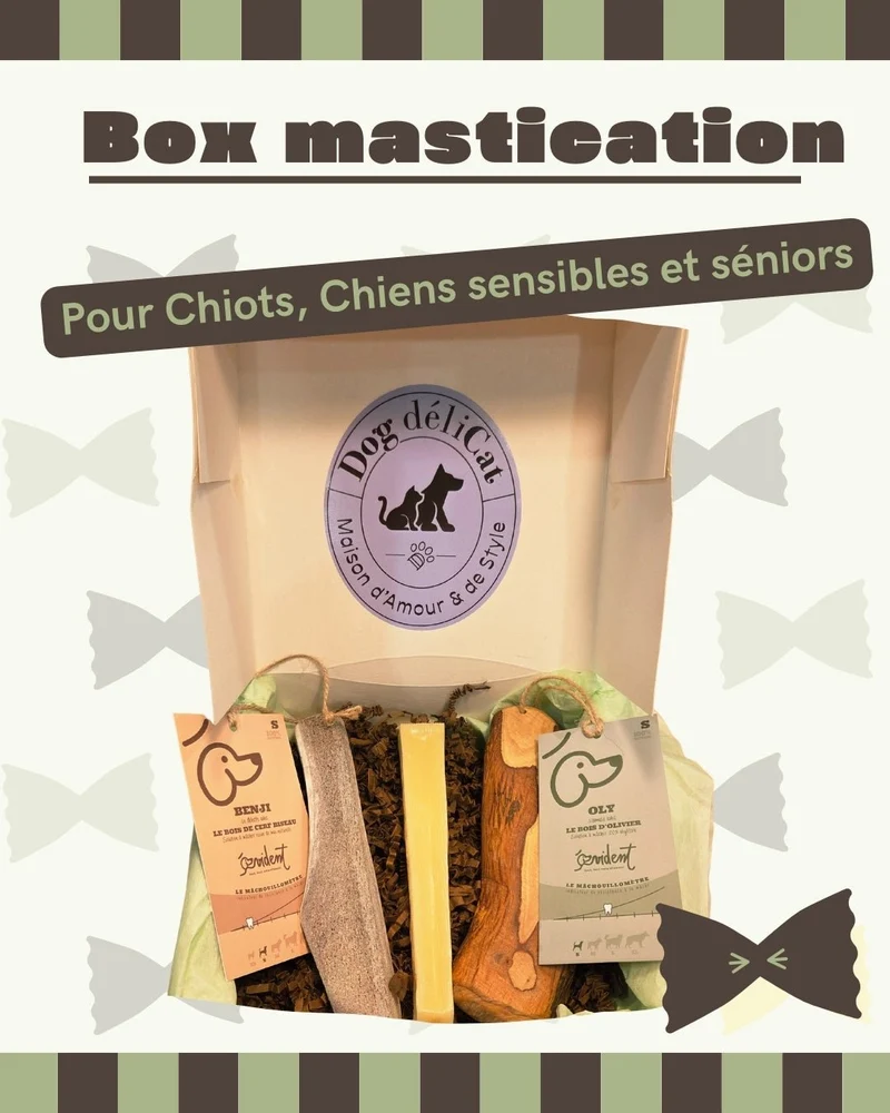 Box mastication douce – chiots, seniors & chiens sensibles