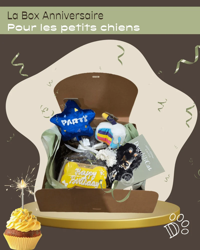 Box anniversaire petit chien – mini fête gourmande