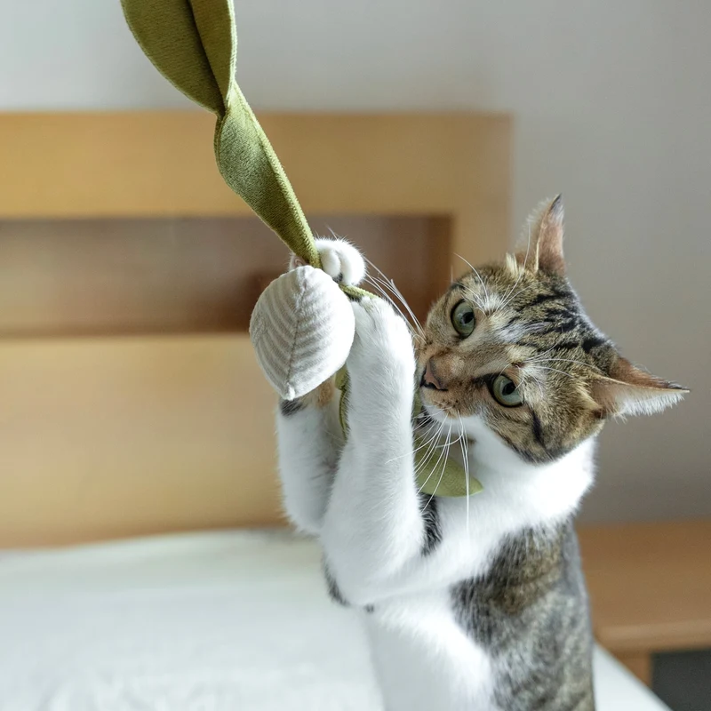 JOUET POUR CHATS - Radis